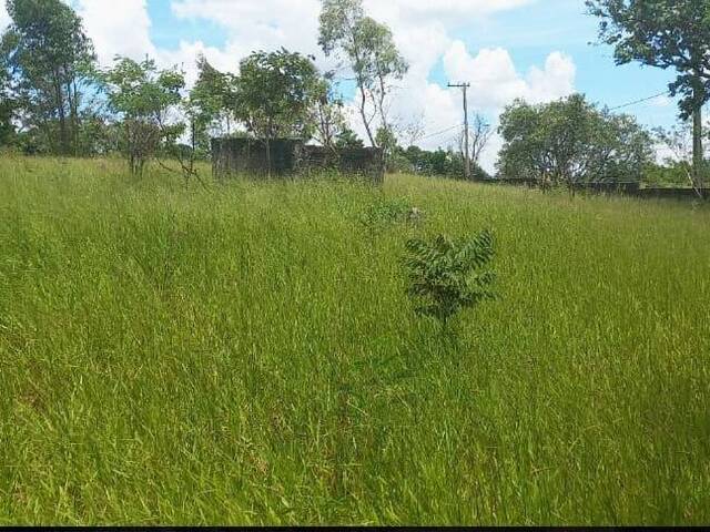#1173/25 - Terreno para Venda em São Paulo - SP